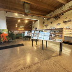 Store – gallery image 2