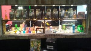 OSO Cannabis Company — Carlsbad, NM