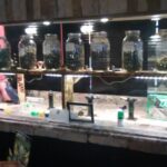 Store – gallery image 5