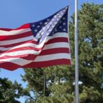 Store – gallery image 5