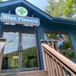 Blue Flowers Cannabis Dispensary THCa – gallery image 4