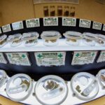 Piedmont Green Dispensary – gallery image 2