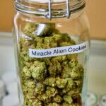 Piedmont Green Dispensary – gallery image 4