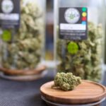 Store – gallery image 3