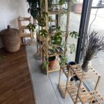 Store – gallery image 5