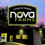 Store – gallery image 2