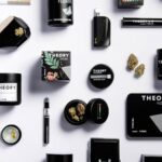 Store – gallery image 2