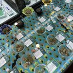 Herbwell Weed Dispensary Cambridge – gallery image 4