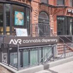 AYR Cannabis Dispensary – Back Bay – gallery image 5