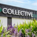 Collective Premium Cannabis Littleton – gallery image 2