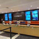 Cannapi Brockton Dispensary – gallery image 3
