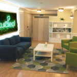 Curaleaf Dispensary Hanover – gallery image 3