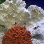 Alternative Compassion Services – gallery image 2