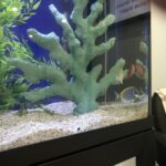 Alternative Compassion Services – gallery image 4