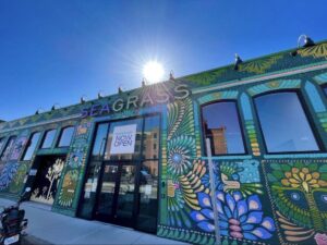 Seagrass Salem Dispensary — Salem, MA