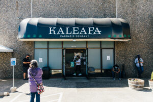Kaleafa Cannabis Weed Dispensary Oregon City — Oregon City, OR