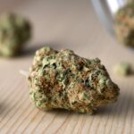 Urban Farmacy Dispensary – gallery image 2