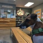 Happy Leaf Portland Dispensary – gallery image 5