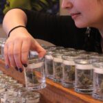 Store – gallery image 4