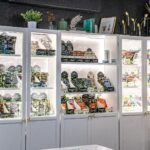 Likewise Cannabis May Avenue – OKC Drive-Thru Dispensary – gallery image 4