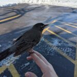 The Farmacy Dispensary – gallery image 2