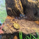 The Farmacy Dispensary – gallery image 3