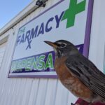 The Farmacy Dispensary – gallery image 5