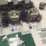 Green Doctor 420 Cannabis Dispensary – gallery image 3