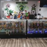 Store – gallery image 3