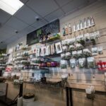 Medicine Man – gallery image 5