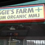 Store – gallery image 5