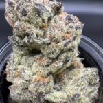 Store – gallery image 2