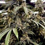 The Health Center – gallery image 5