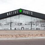 Native Roots Marijuana Dispensary Tower – Airport MED/REC – gallery image 1