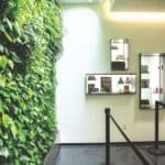 Garden of Eden – Hayward – gallery image 2