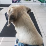 Affinity Recreational & Medical Dispensary – gallery image 5