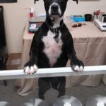 Store – gallery image 4