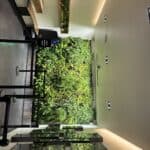 Garden of Eden – Hayward – gallery image 5