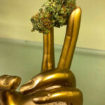 Store – gallery image 5