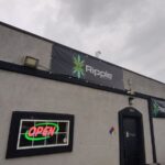 Store – gallery image 1