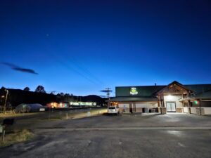 Dead Flowers — Palmer Lake, CO