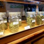 Store – gallery image 2