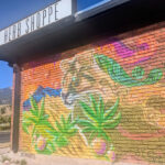 Store – gallery image 1