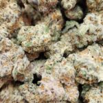 Store – gallery image 3