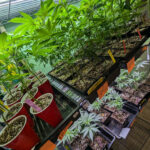 Store – gallery image 4