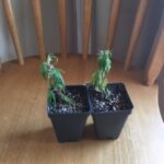 Store – gallery image 5