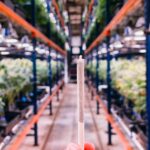 The Green Solution – gallery image 2