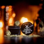 The Green Solution – gallery image 5