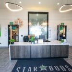 Star Buds Southeast Aurora – gallery image 3