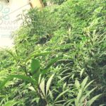 Store – gallery image 2